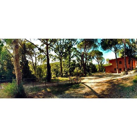 Agriturismo Poggio Al Pino Montelupo Fiorentino Buitenkant foto