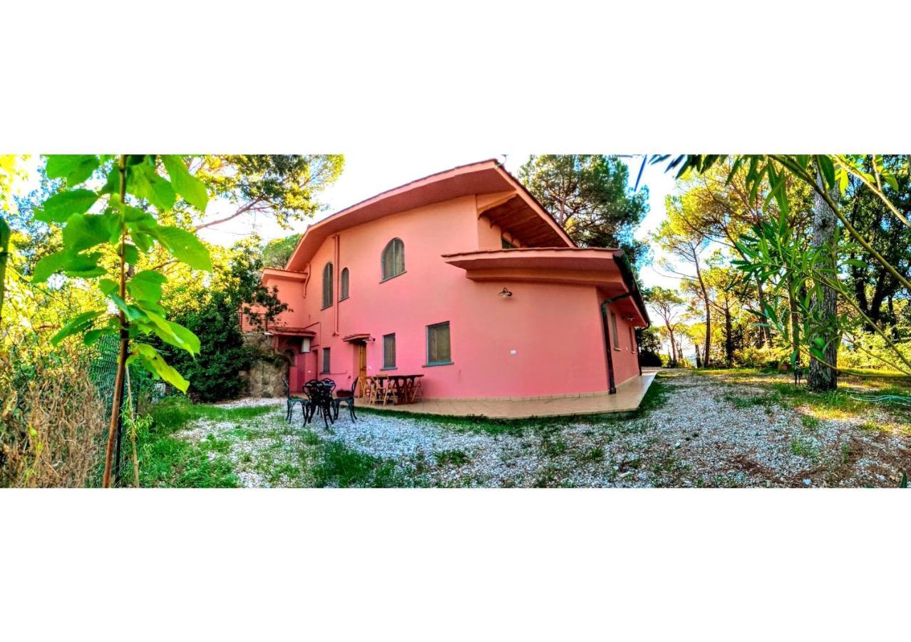 Agriturismo Poggio Al Pino Montelupo Fiorentino Buitenkant foto