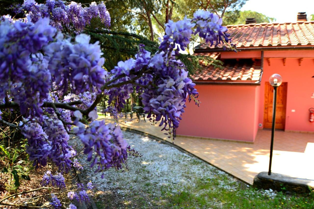 Agriturismo Poggio Al Pino Montelupo Fiorentino Buitenkant foto